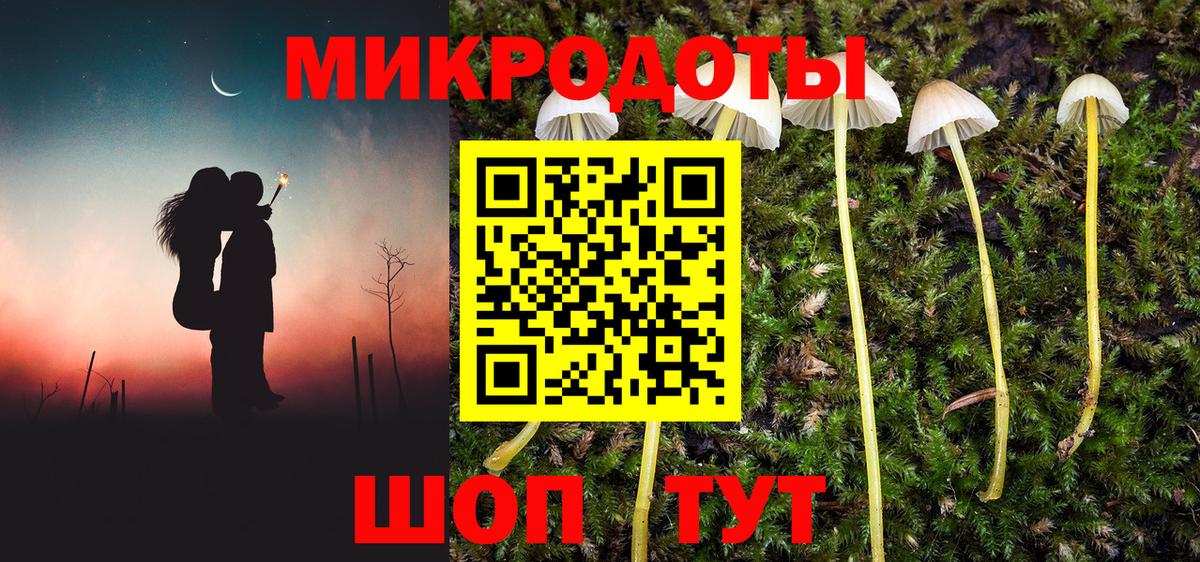 Галлюциногенные грибы ЛСД  Галлюциногенные грибы Magic Shrooms  Ефремов  Вход с VPN 