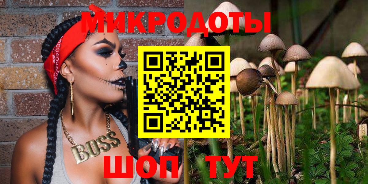 Галлюциногенные грибы MAGIC MUSHROOMS Ефремов